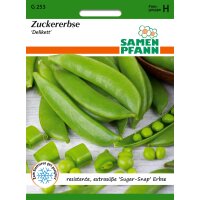 Zuckererbsen Delikett