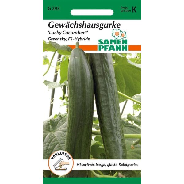 Gurke Lucky Cucumber ( F1)