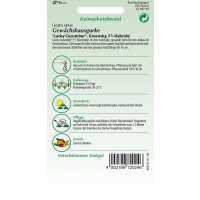 Gurke Lucky Cucumber ( F1)