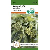 Stängelkohl  Sessantina