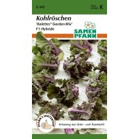 Kohlröschen Kalettes® Garden Mix F1