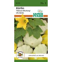 Kürbis Patisson Mix