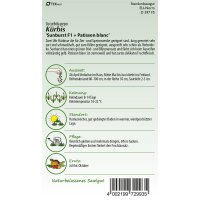 Kürbis Patisson Mix