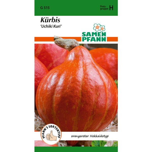 Kürbis Uchiki Kuri