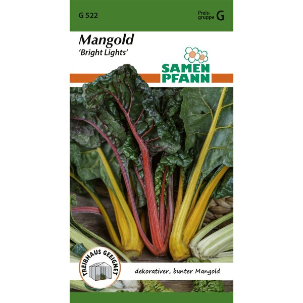 Mangold Bright Lights