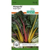 Mangold Bright Lights