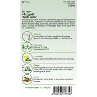 Mangold Bright Lights