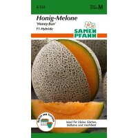 Honig-Melone Honey Bun F1