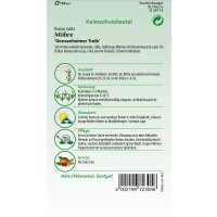 Möhren Gonsenheimer Treib