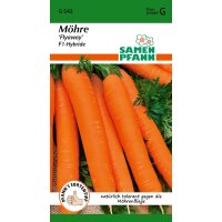 Möhren Flyaway