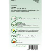 Möhren Harlequin Mix F1