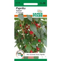 Paprika Kobold F1