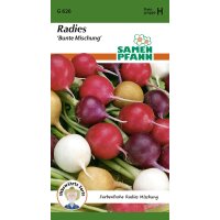 Radies Bunte Mischung