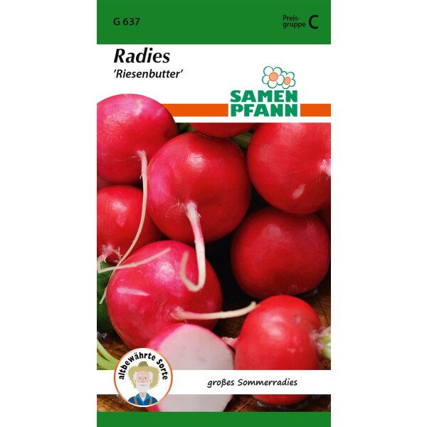 Radies Riesenbutter