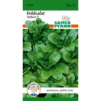 Feldsalat Vollhart 3