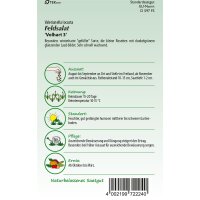 Feldsalat Vollhart 3