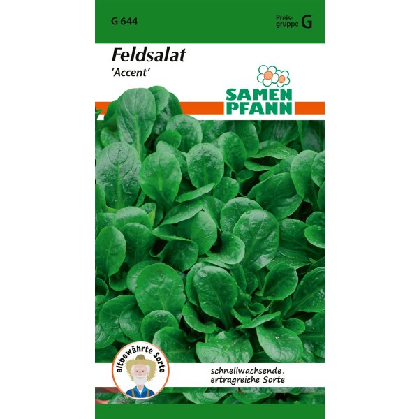 Feldsalat Accent