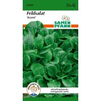 Feldsalat Accent