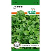Feldsalat Vit