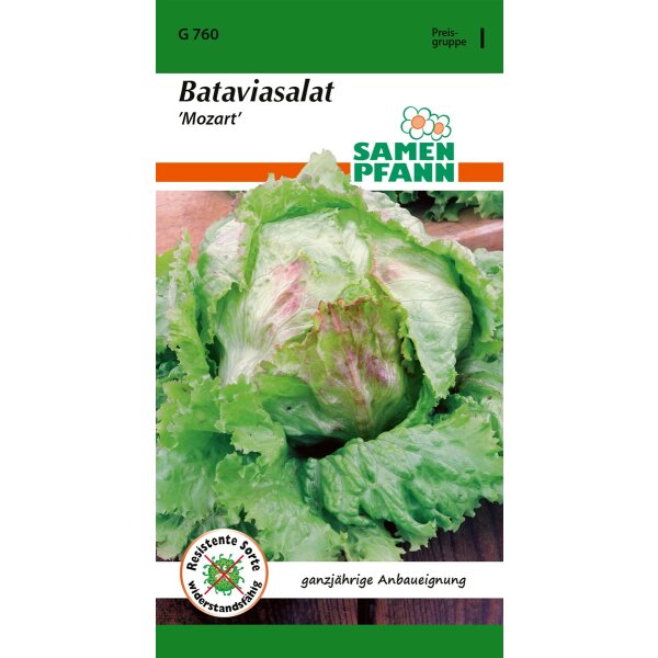 Bataviasalat Mozart