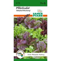 Pflücksalat Baby Leaf Mischung