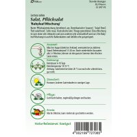 Pflücksalat Baby Leaf Mischung
