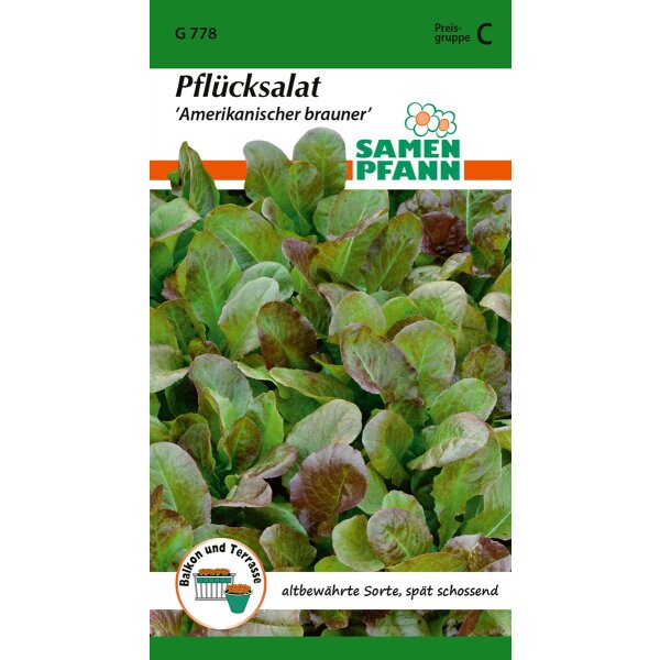 Pflücksalat Amerik. Brauner