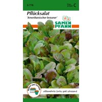 Pflücksalat Amerik. Brauner