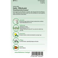 Pflücksalat Amerik. Brauner