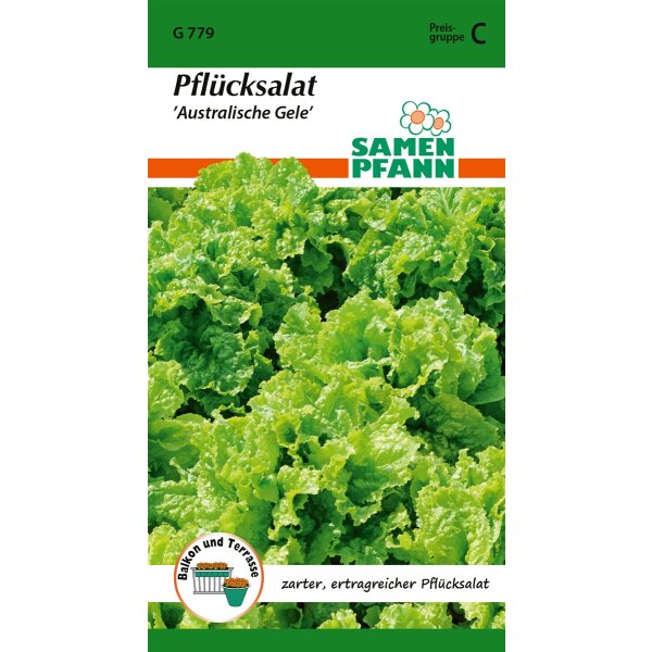 Pflücksalat Australische Gele