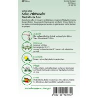 Pflücksalat Australische Gele