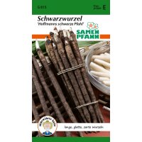 Schwarzwurzeln Schwarze Pfahl