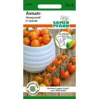 Tomate Honeycomb F1