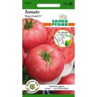 Tomate Rose Crush F1