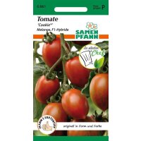 Tomate Cookie (Melange F1)