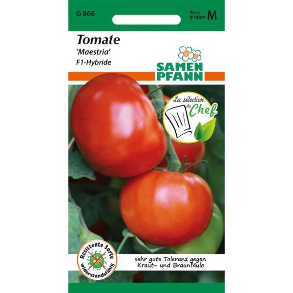 Tomate Maestria F1
