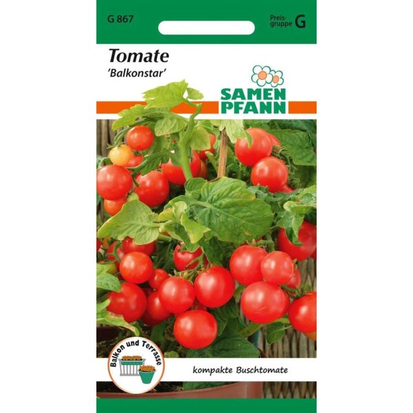 Tomate Balkonstar