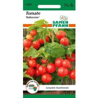 Tomate Balkonstar