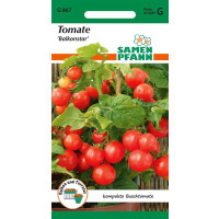 Tomate Balkonstar