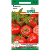 Tomate Matina