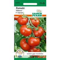 Tomate Hildares F1