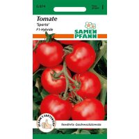 Tomate Sparta F1