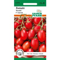 Tomate Ravello