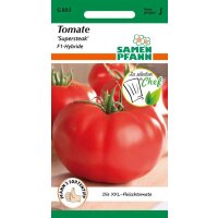 Tomate Supersteak F1