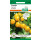 Tomate Star Gold F1