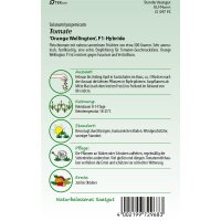 Tomate Orange Wellington F1