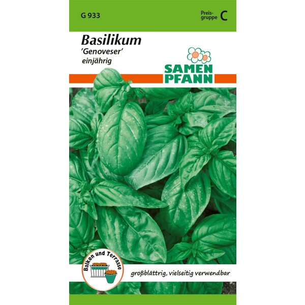 Basilikum, Genoveser