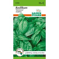 Basilikum, Genoveser