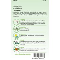 Basilikum, Genoveser