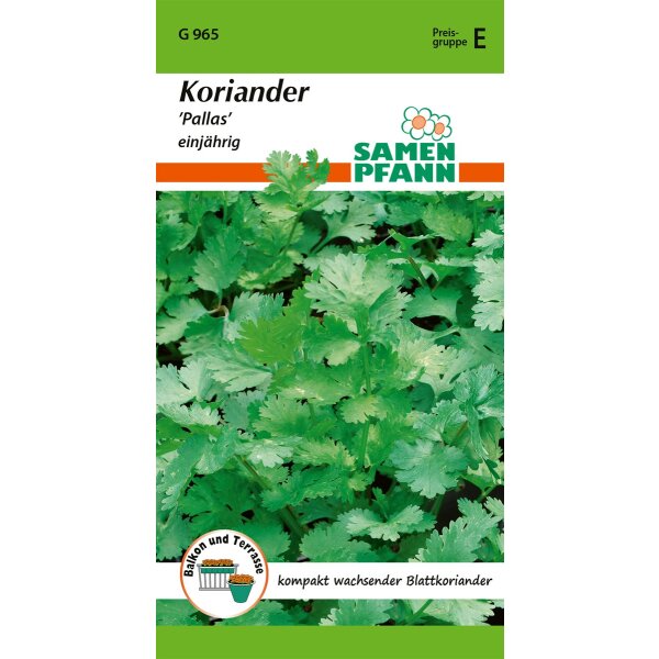 Koriander Pallas